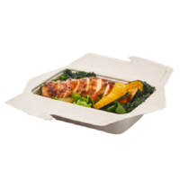 32oz Sabert Pulp Folding Square Bowl x 150