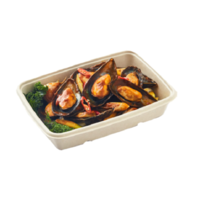 30oz Sabert Pulp Rectangular 6x9 Inch Tray x 75