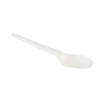 BetaEco PLA Spoon x 100