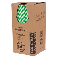 Eco-Straw Jumbo Paper Green/White Straw x250