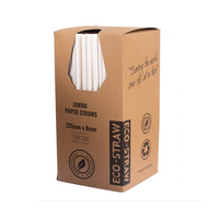 Eco-Straw Jumbo Paper White Straw x 250