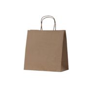 BetaEco Brown Kraft Small Twist Handle Paper Bag (280x280x150) x 50