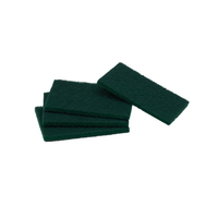 Bastion Green Regular Duty Scour Pads 100x150x10mm x 10