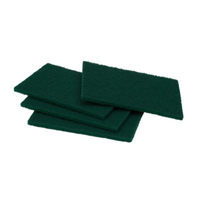 Bastion Green Regular Duty Scour Pads 230x150x10mm x10