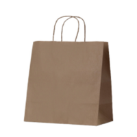 Medium Kraft Twist Handle Carry Bag 305x305x170mm x 50