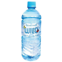 Wild One Spring Water